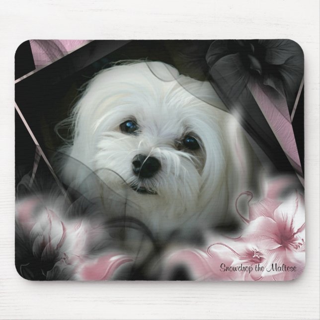 Tapis De Souris Perce-neige le Mousepad maltais (Devant)