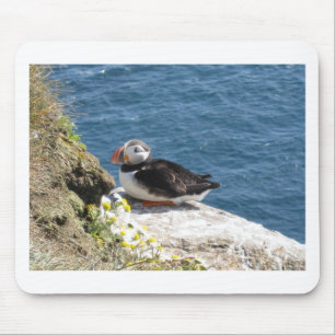 Tapis De Souris Perroquet