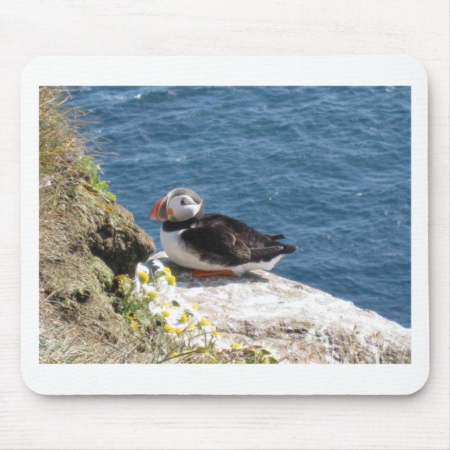 Tapis De Souris Perroquet (Devant)