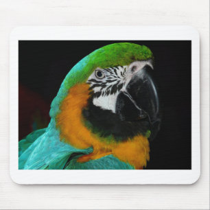 Tapis De Souris Perroquet