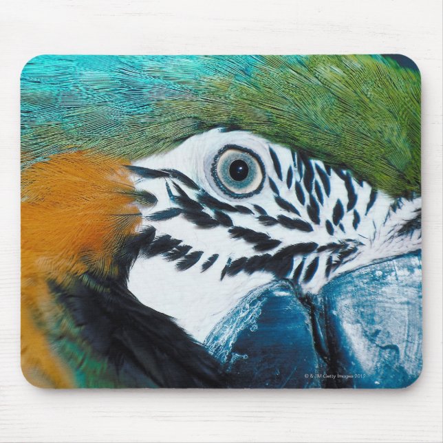 Tapis De Souris Perroquet bleu (Devant)