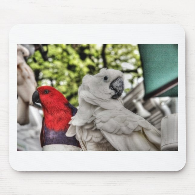 Tapis De Souris Perroquet et cacatoès (Devant)