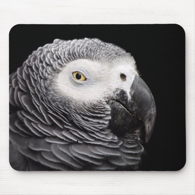 Tapis De Souris Perroquet Gris Africain (Devant)