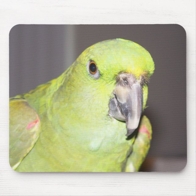 Tapis De Souris Perroquet Jaune-Naped Mousepad d'Amazone (Devant)