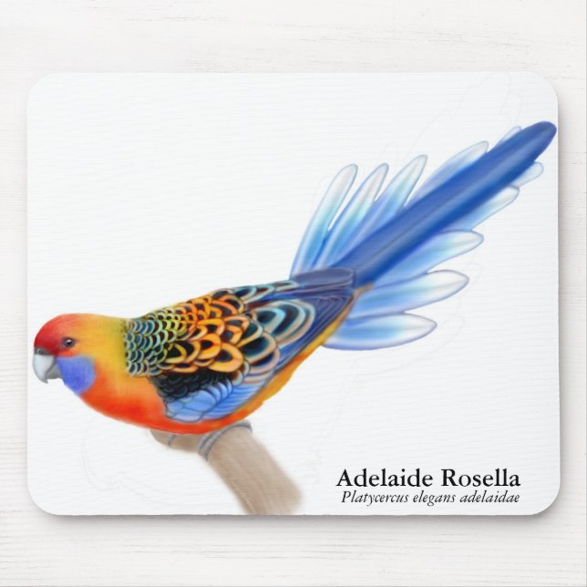 Tapis De Souris Perroquet Mousepad d'Adelaïde Rosella (Devant)