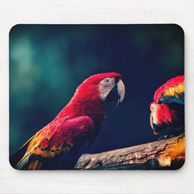 Tapis De Souris perroquet, oiseau, macaw (Devant)