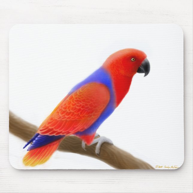 Tapis De Souris Perroquet rouge femelle Mousepad d'Eclectus (Devant)