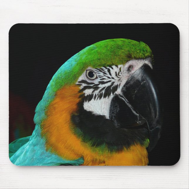 Tapis De Souris Perroquet vert coloré (Devant)
