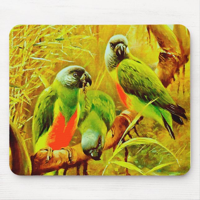 Tapis De Souris Perroquets colorés (Devant)