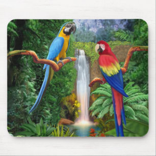 Tapis De Souris Perroquets Tropicaux Ara