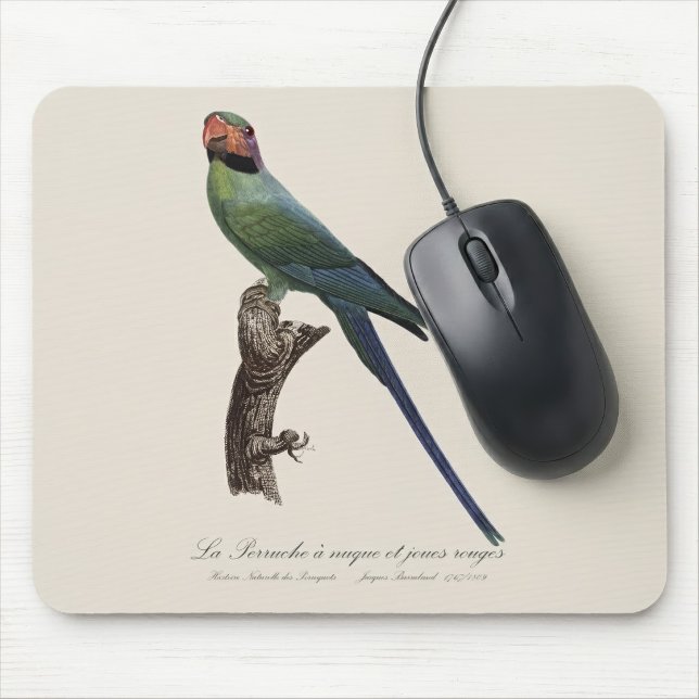 Tapis De Souris Perruche à longue queue, Psittacula Longicauda (Long-Tailed Parakeet, Psittacula Longicauda. Mouse Pad)