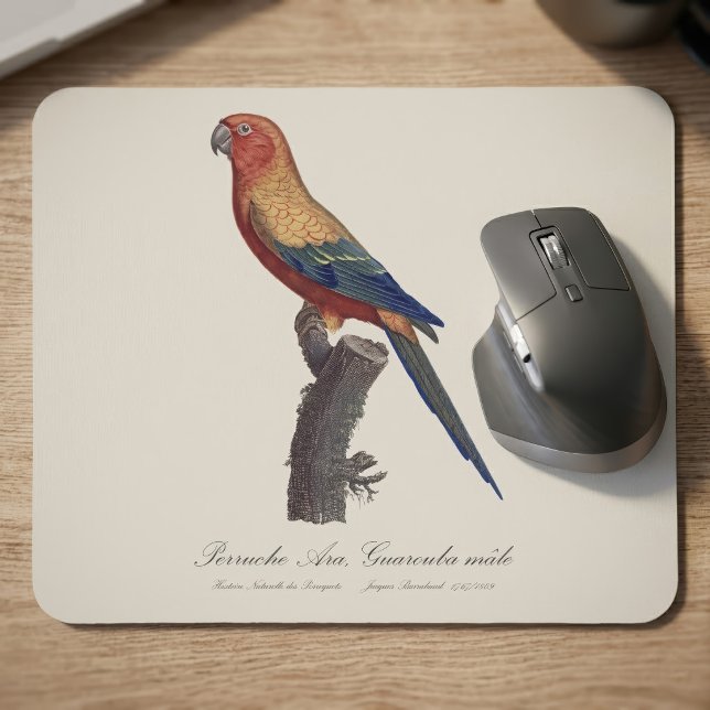 Tapis De Souris Perruche soleil mâle, Aratinga solstitialis (Sun Parakeet Male, Aratinga Solstitialis. Mouse Pad)