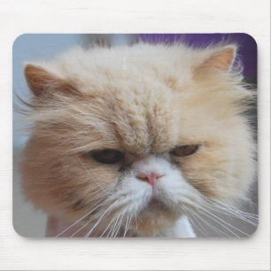 Tapis de souris Persan parfait