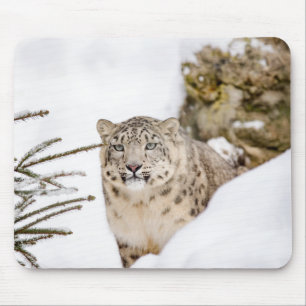 Tapis De Souris Personalisé Snow Leopard animal sauvage