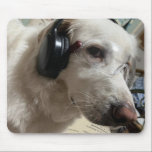 Tapis De Souris Personalized Pet Photo<br><div class="desc">This unique mouse pad can be personalized with your pet's photo ,  making it the perfect accessory for any pet lover who wants to keep their furry friend close while working ,  studying or gaming.</div>