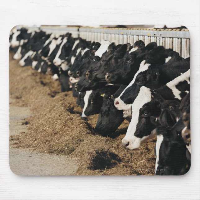 Tapis De Souris Perspective de la réduction des têtes de vache (Devant)