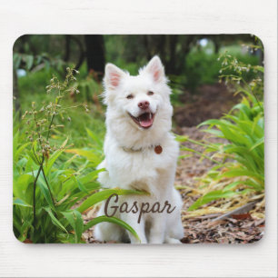 Tapis De Souris Pet Photo et nom Personalized
