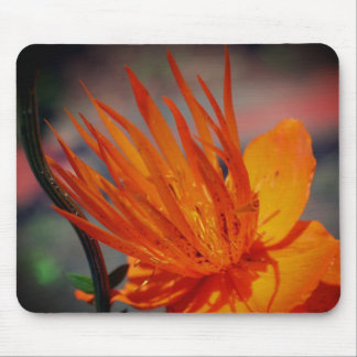 Tapis De Souris Pétales à fleurs orange jaune