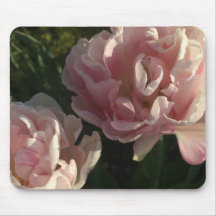 Pétales Blushing ravi