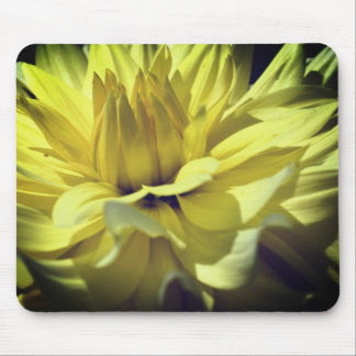 Tapis De Souris Pétales De Fleur Jaune Dahlia Élevée Près
