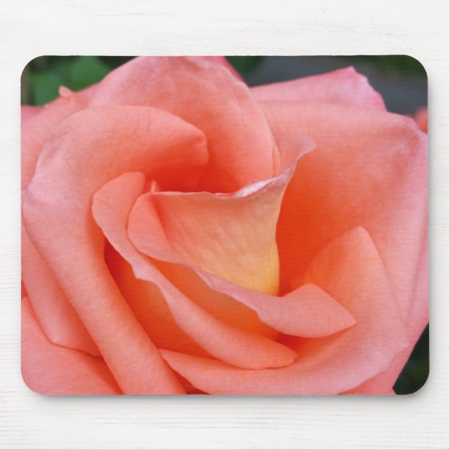 Tapis De Souris pétales roses (Devant)