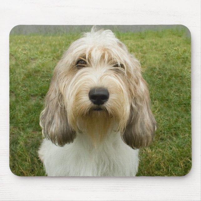 Tapis De Souris Petit Basette Griffon Vendeen (Devant)