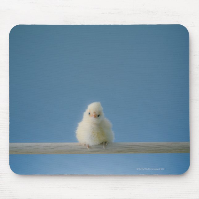 Tapis De Souris Petit bébé solitaire Animaux de compagnie Poulet a (Devant)
