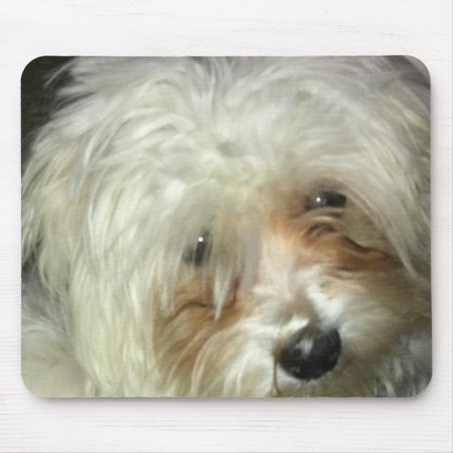 Tapis De Souris Petit Casper mignon (Devant)