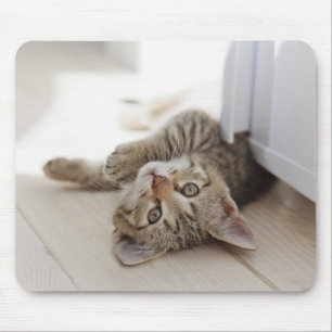 Tapis De Souris Petit chaton mignon