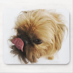 Tapis De Souris Petit chien sur l'arrière - plan blanc, vue courbe