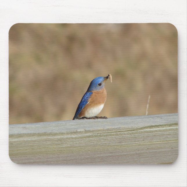 Tapis De Souris Petit déjeuner bleu d'oiseau (Devant)