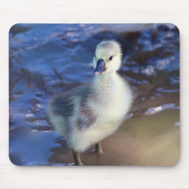 Tapis De Souris Petit Gosling Mousepad (Devant)