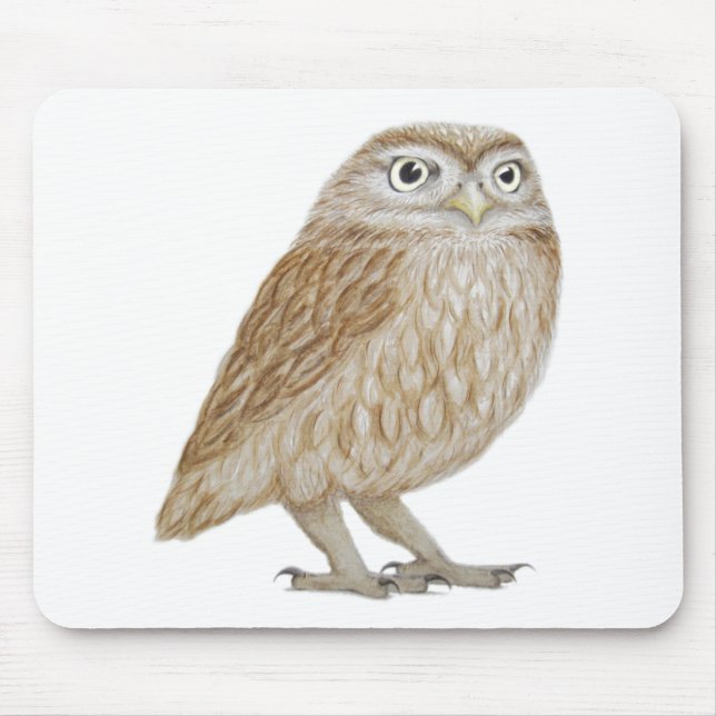 Tapis De Souris Petit hibou 2011 (Devant)