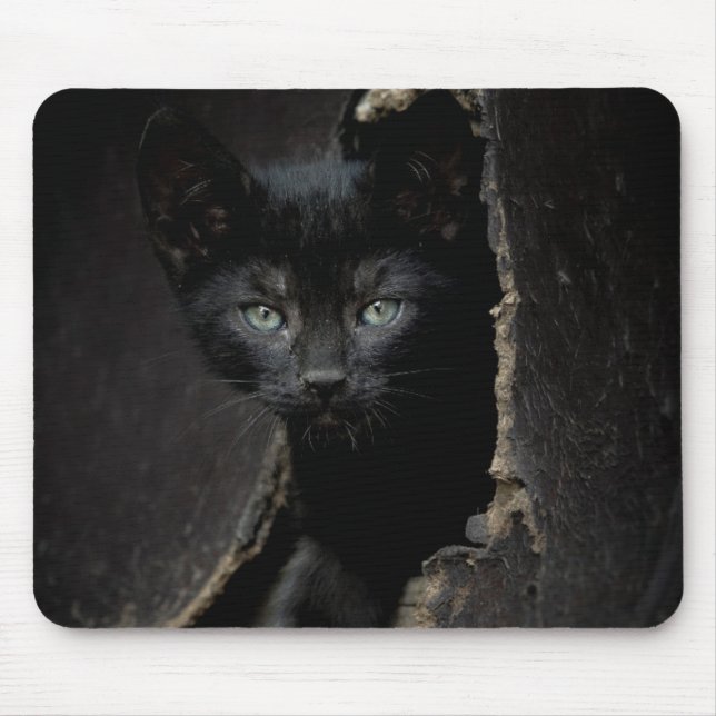 Tapis De Souris Petit Kitty noir (Devant)