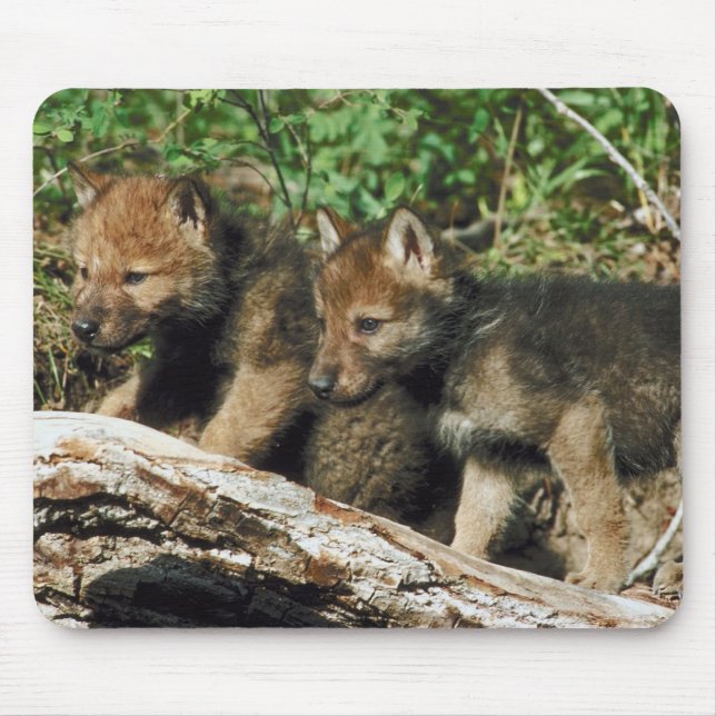 Tapis De Souris Petit loup de bois (Devant)