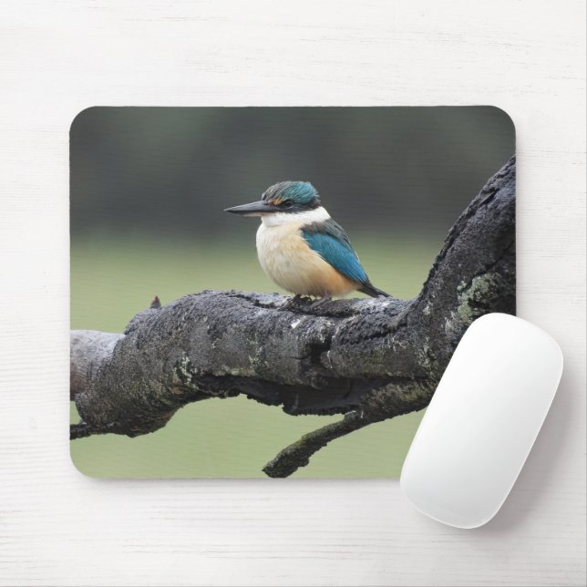 Tapis De Souris Petit oiseau de Kookaburra (Avec souris)