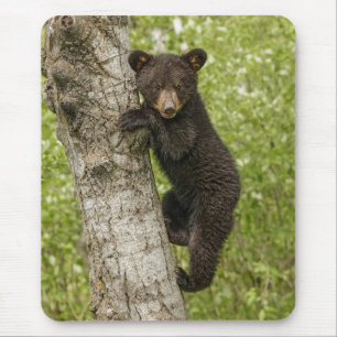 Tapis De Souris Petit Ours noir dans l'arbre