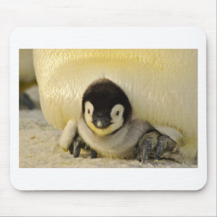 Tapis De Souris Petit pingouin