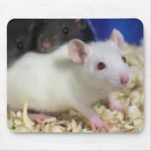 Tapis De Souris Petit rat