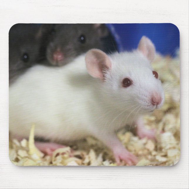 Tapis De Souris Petit rat (Devant)