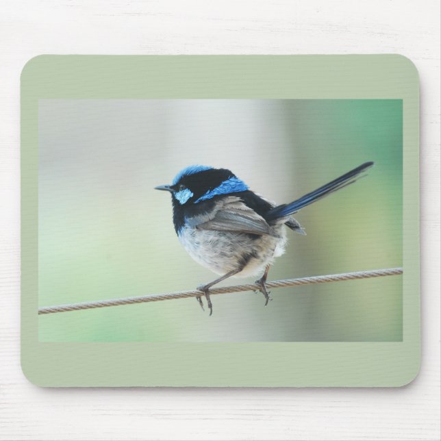 Tapis De Souris Petit roitelet bleu (superbe fairywren) Australie (Devant)