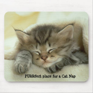 Tapis De Souris Petit somme Mousepad de chat