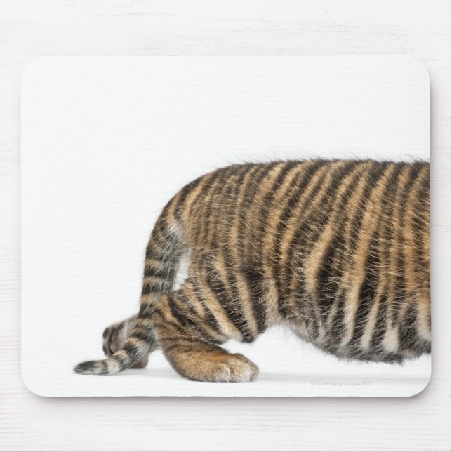 Tapis De Souris Petit tigre de Sumatra 2 (Devant)