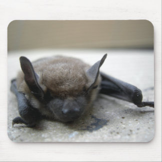Tapis De Souris Petite chauve-souris brune (Myotis lucifugus)