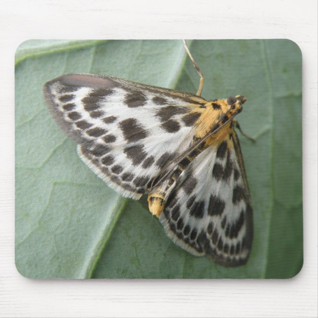 Tapis De Souris Petite mousepée de papillon à tarte (Devant)
