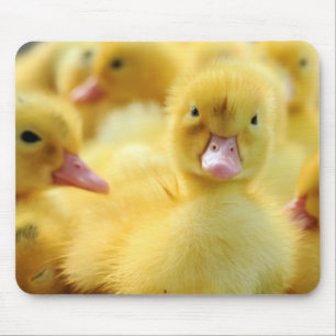 Tapis De Souris Petits canards