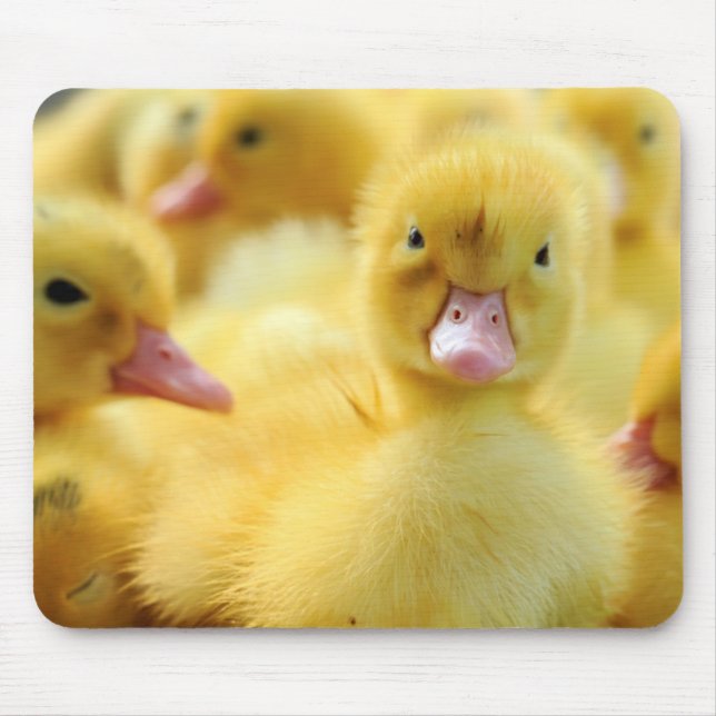 Tapis De Souris Petits canards (Devant)