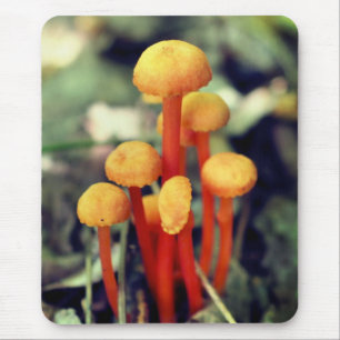 Tapis De Souris Petits Champignons Orange Nature