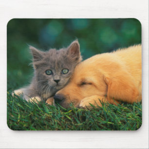 Tapis De Souris Petits chaton et chiot mignons ensemble