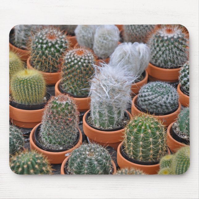 Tapis De Souris Petits plantes de cactus (Devant)